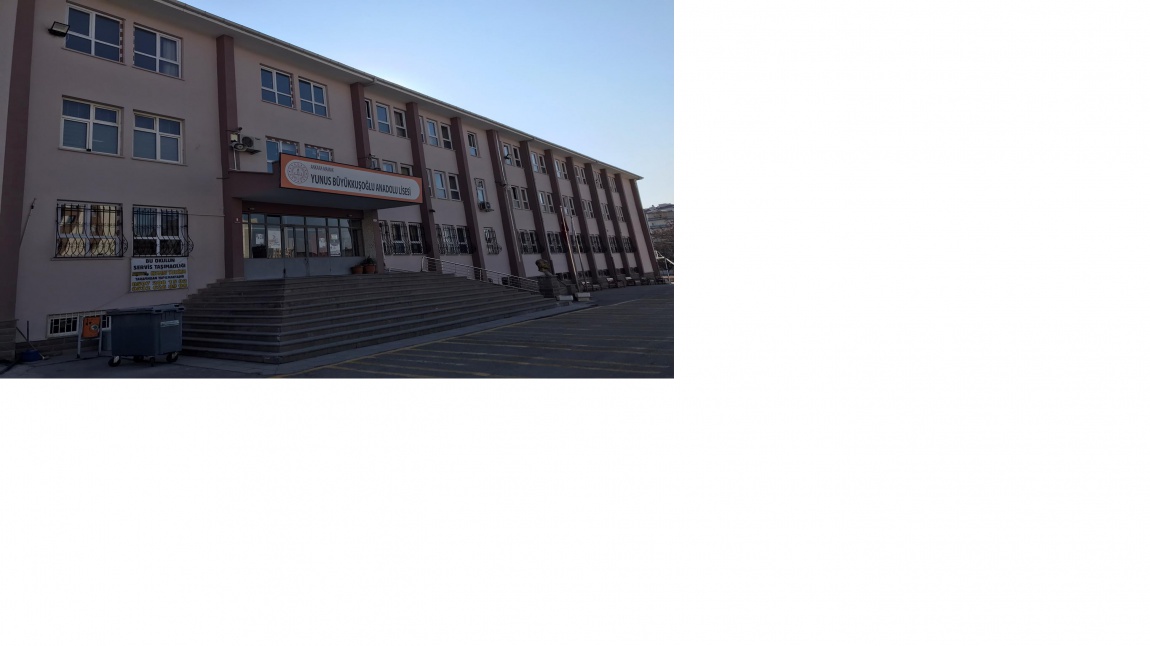 Yunus Büyükkuşoğlu Anadolu Lisesi
