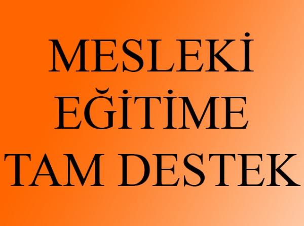 Orhangazi Mesleki Ve Teknik Anadolu Lisesi