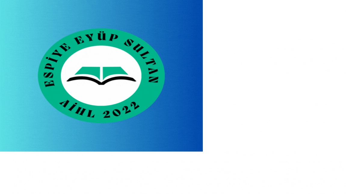 Eyüp Sultan Anadolu İmam Hatip Lisesi - Ana Fotoğraf