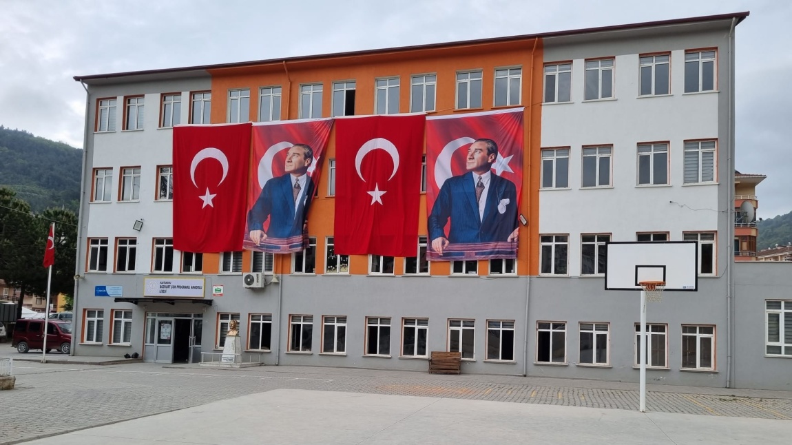 Bozkurt Çok Programlı Anadolu Lisesi