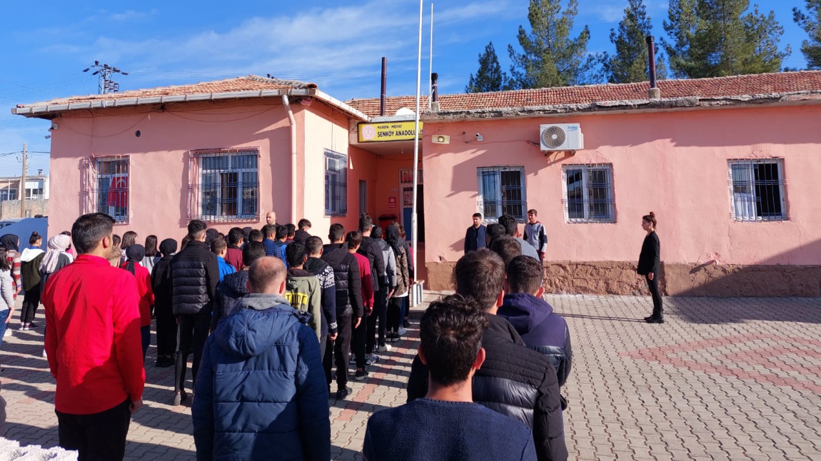 Şenköy Anadolu Lisesi