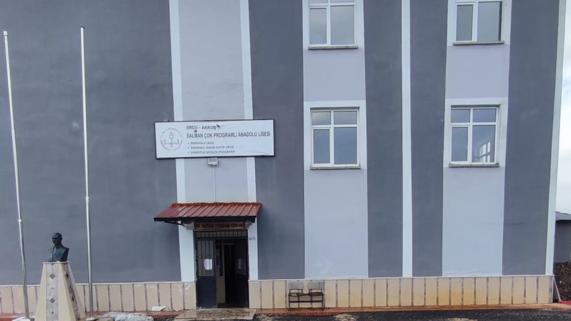 Salman Çok Programlı Anadolu Lisesi