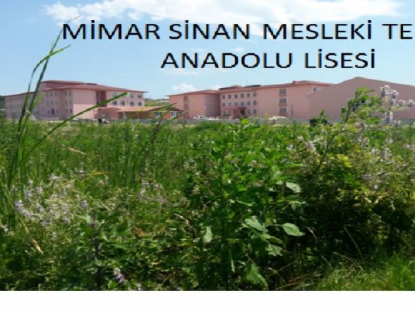 Mimar Sinan Mesleki Ve Teknik Anadolu Lisesi