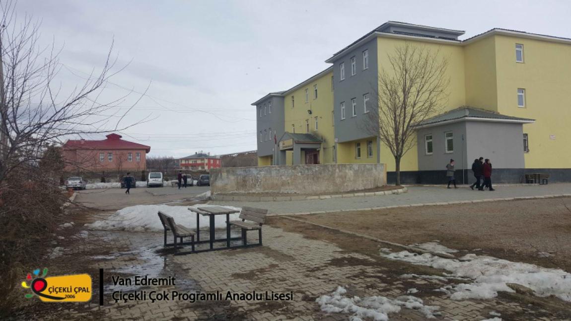 Çiçekli Çok Programlı Anadolu Lisesi