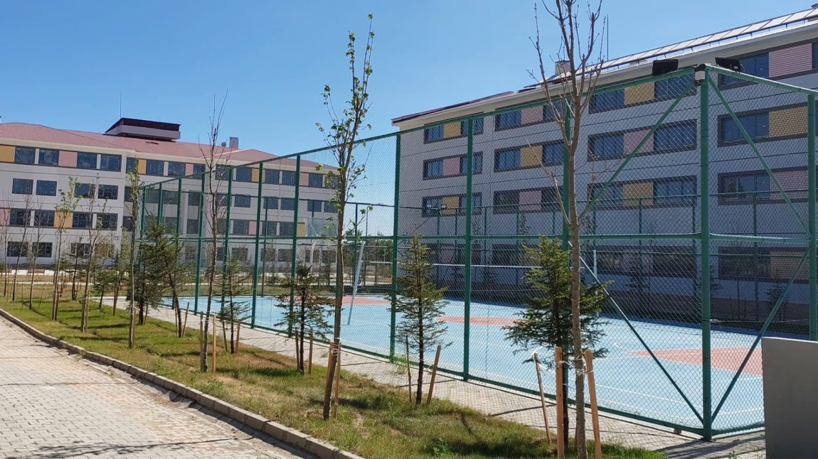 Tevfik İleri Anadolu İmam Hatip Lisesi